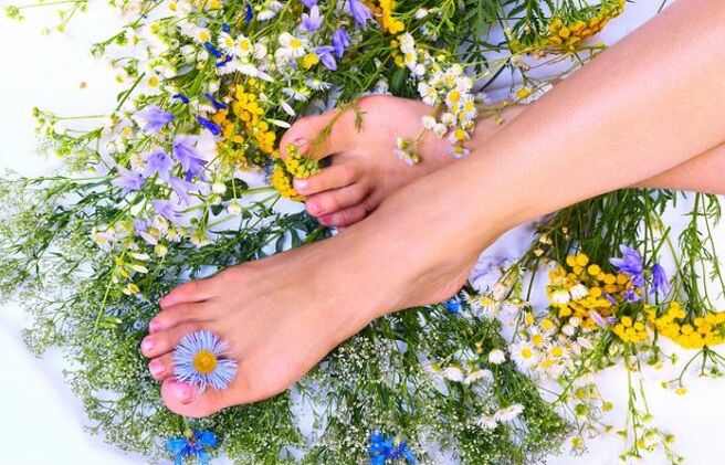 herbal remedies for toenail fungus