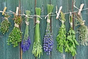 Herbal remedies for toenail fungus